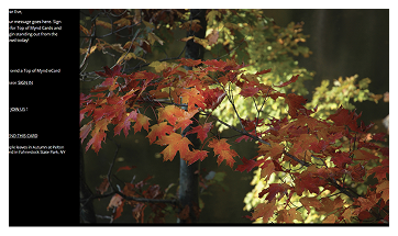 Card 1 Image
